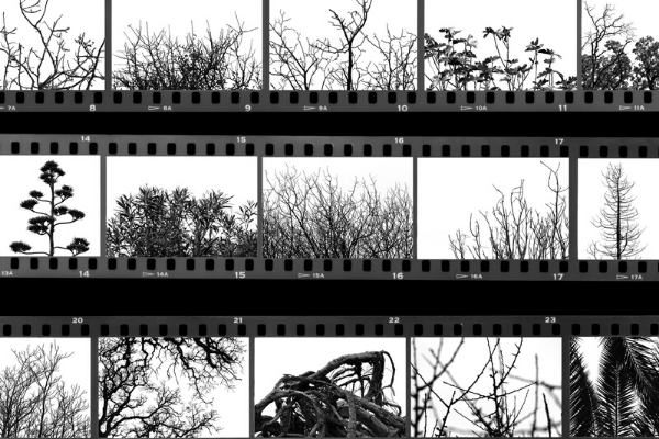 So Are The Thumbnails